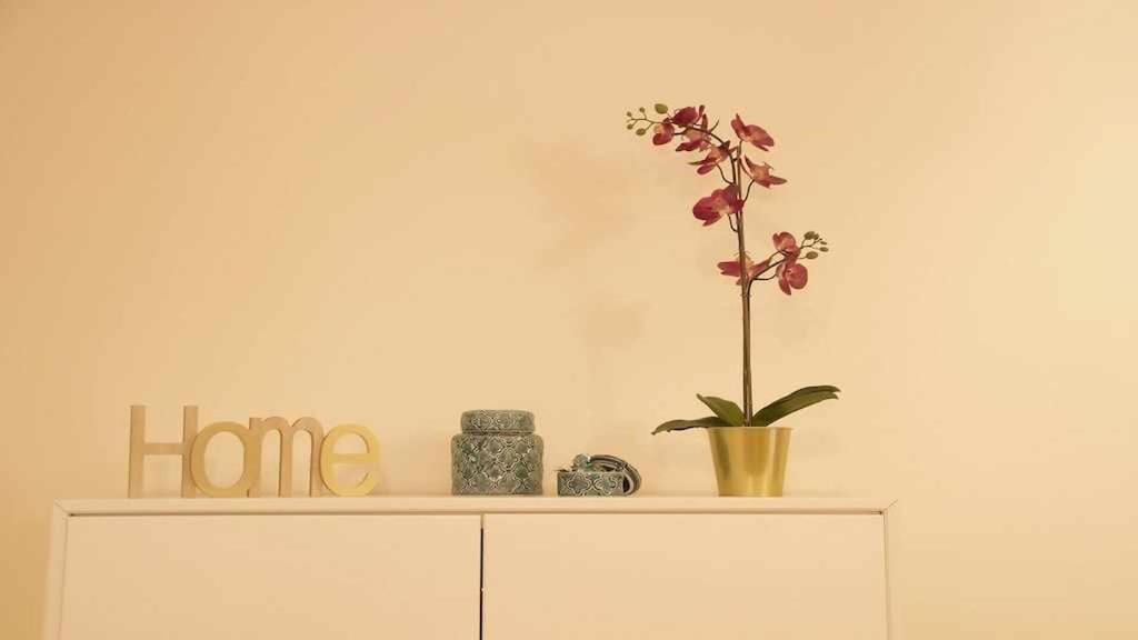 Apartamento Con Jardin Y Piscina B بويرتو ذي لا كروز المظهر الخارجي الصورة