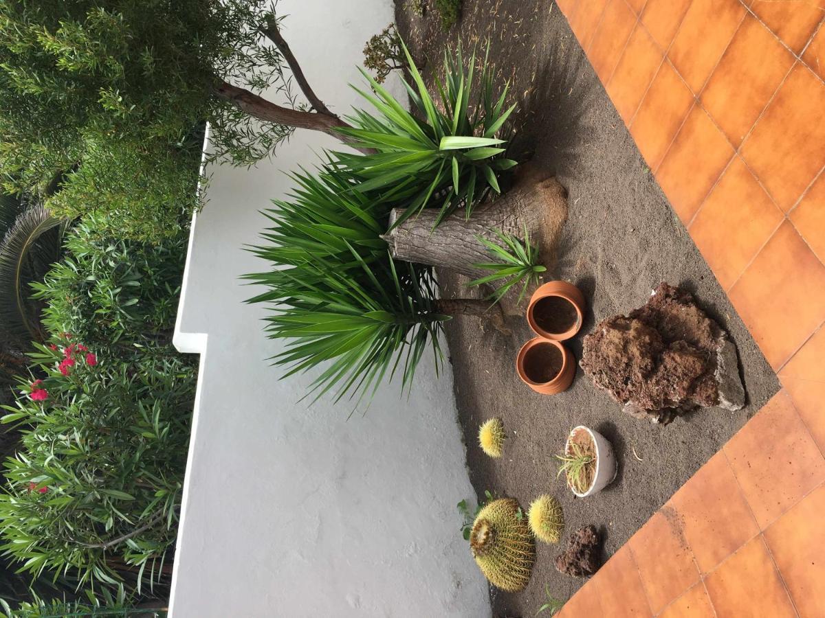 Apartamento Con Jardin Y Piscina B بويرتو ذي لا كروز المظهر الخارجي الصورة